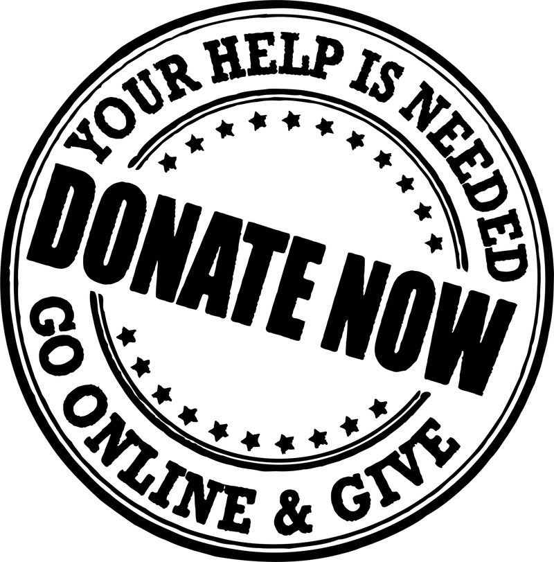 Donate Prompt