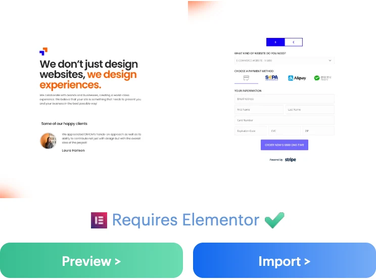 Agency Elementor Page Template for Payment Page
