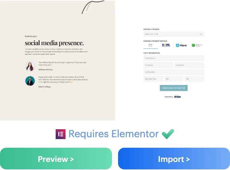 Freelancer Elementor Page Template for Payment Page